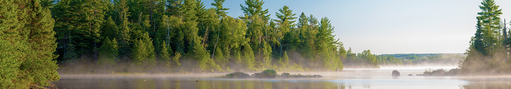 lake with trees and fog