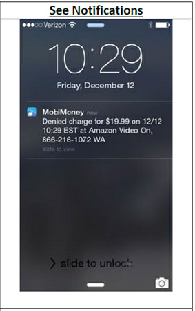 view of mobimoney notifications