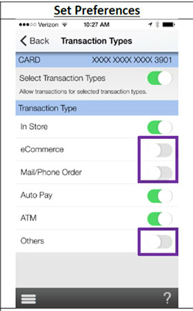 view of mobimoney preferences